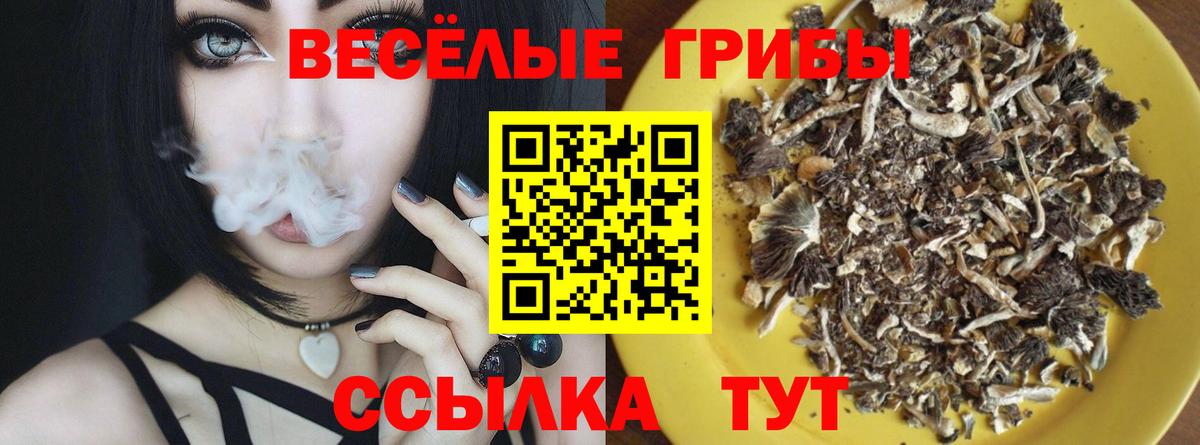 Йошкар-Ола  Псилоцибиновые грибы мухоморы  Псилоцибиновые грибы прущие грибы  Вход с VPN 