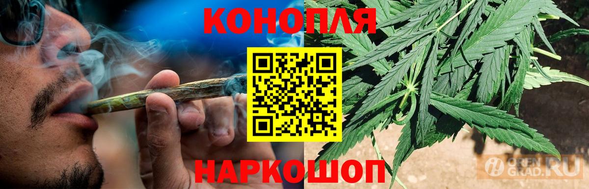 Канабис семена Йошкар-Ола